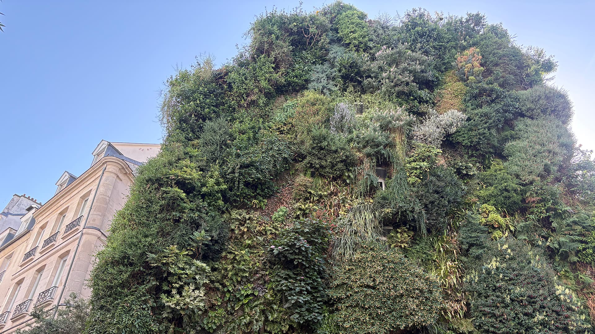 L’Oasis d’Aboukir