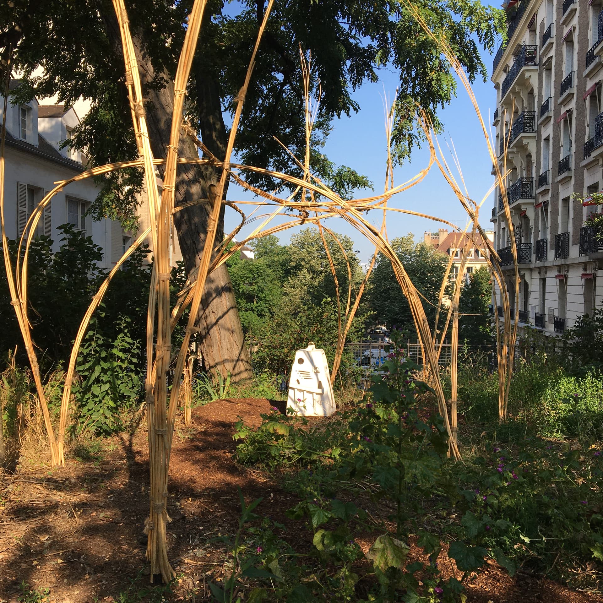 Maquis d'Émerveille