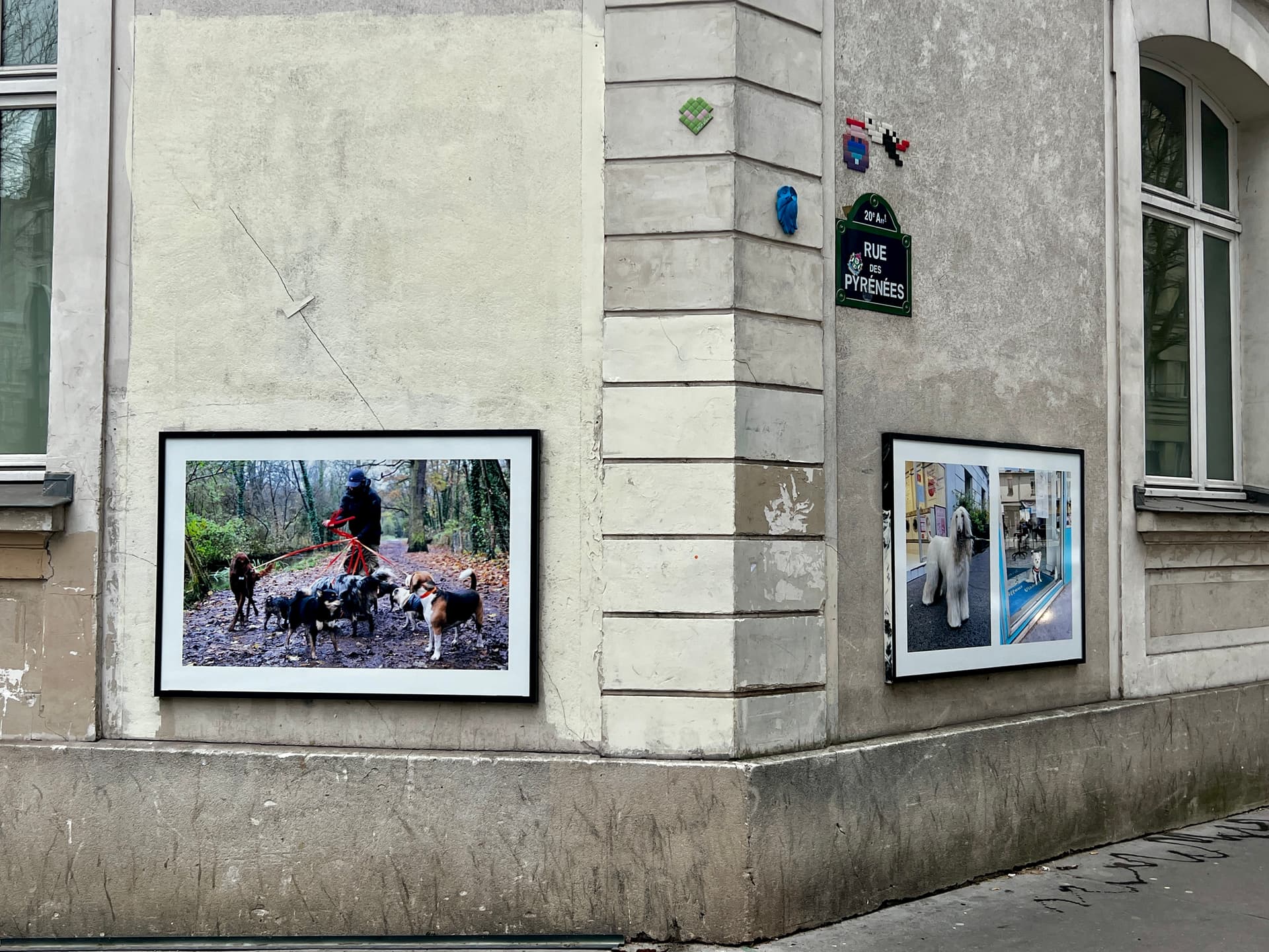 « Par hasard un chien » de Mélanie Feuvrier