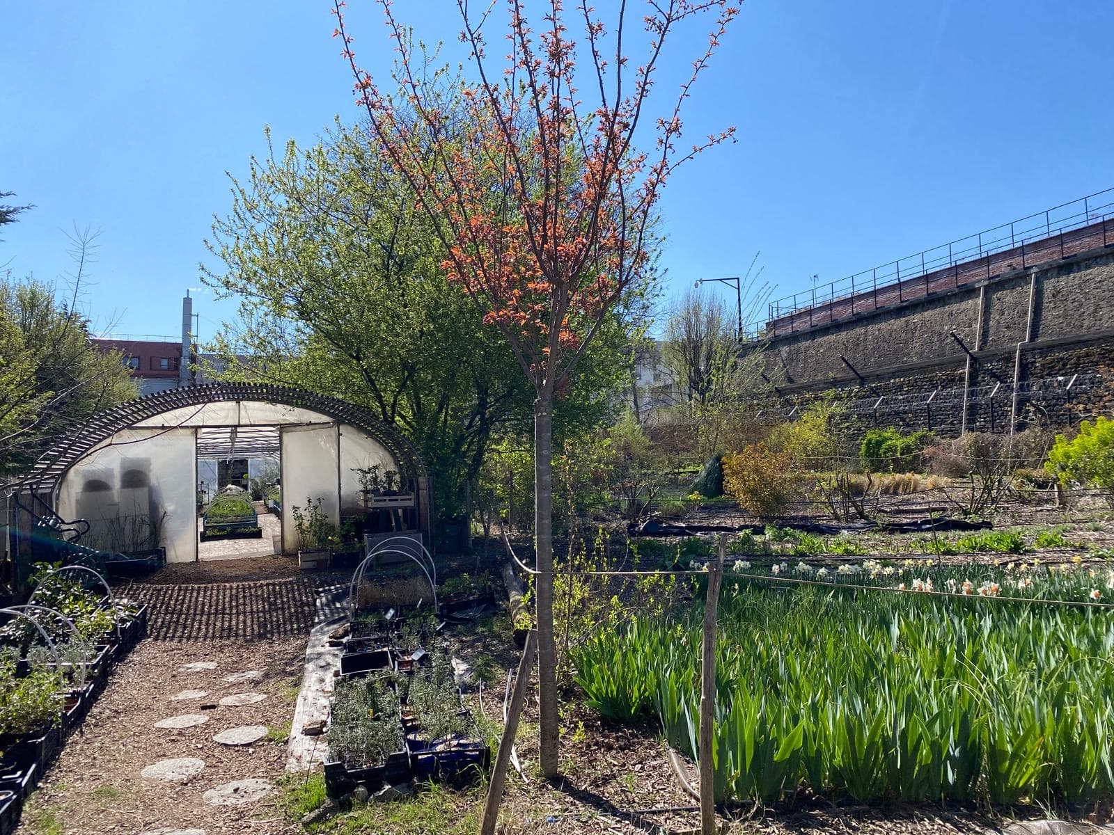 Pépinière Flore Urbaine