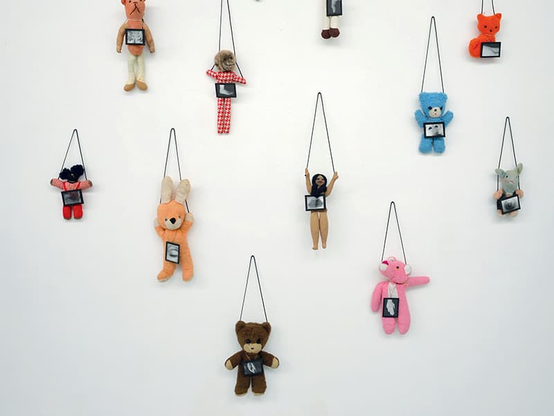 Les Petites visites – Une hirondelle ne fait pas le printemps