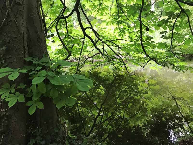 Le long du ruisseau de Gravelle