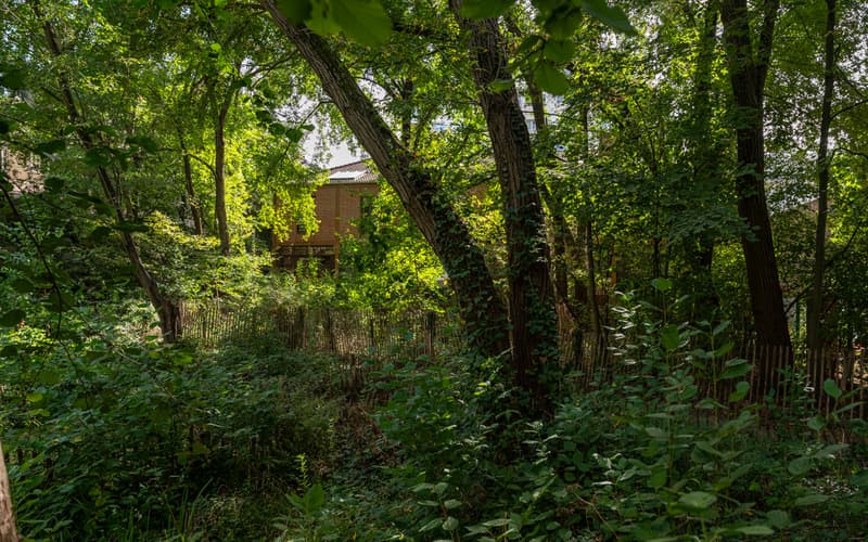 Jardin naturel Pierre Emmanuel