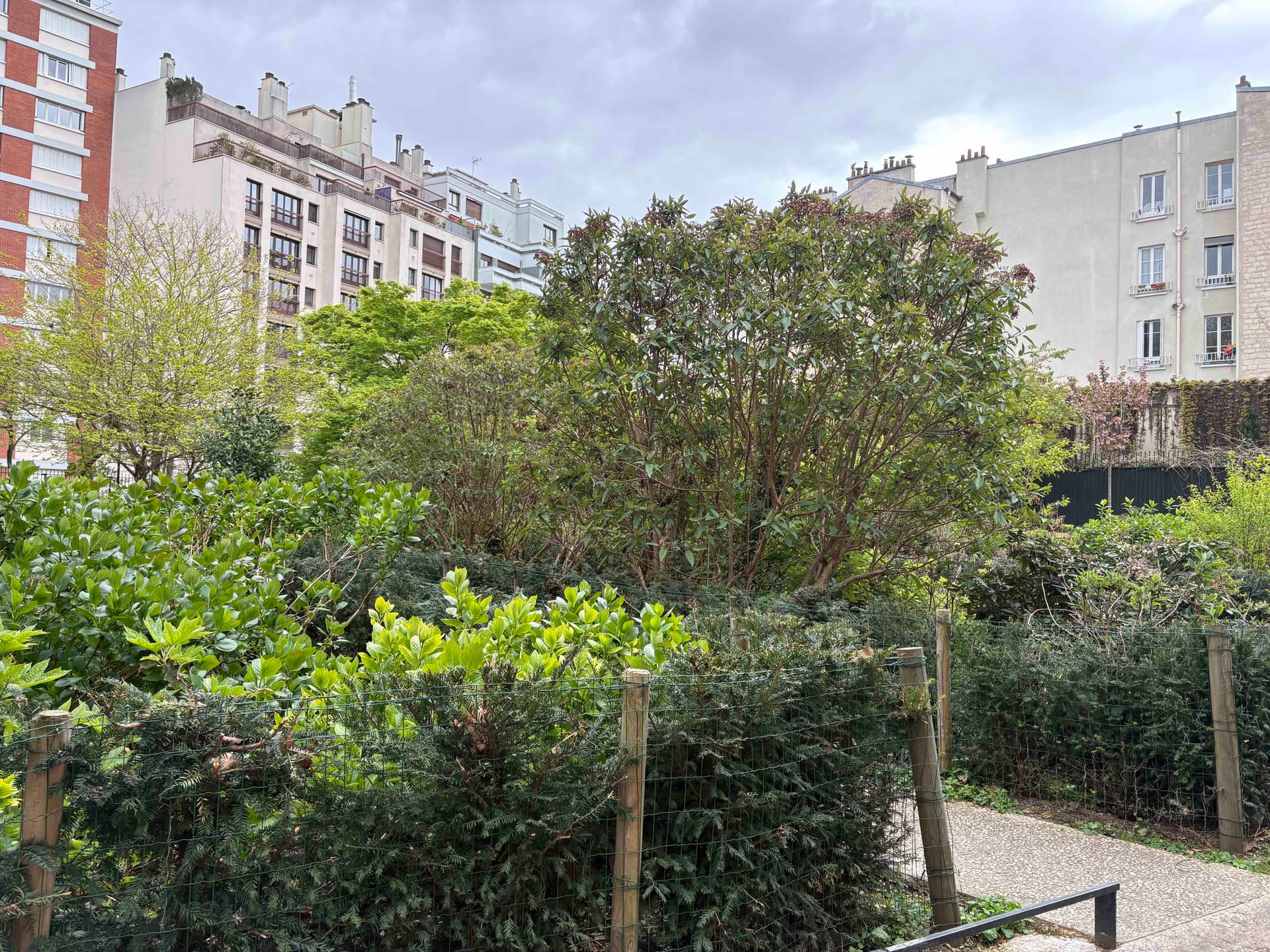 Square Louis Majorelle